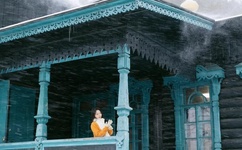 我是赵传奇电视剧全集